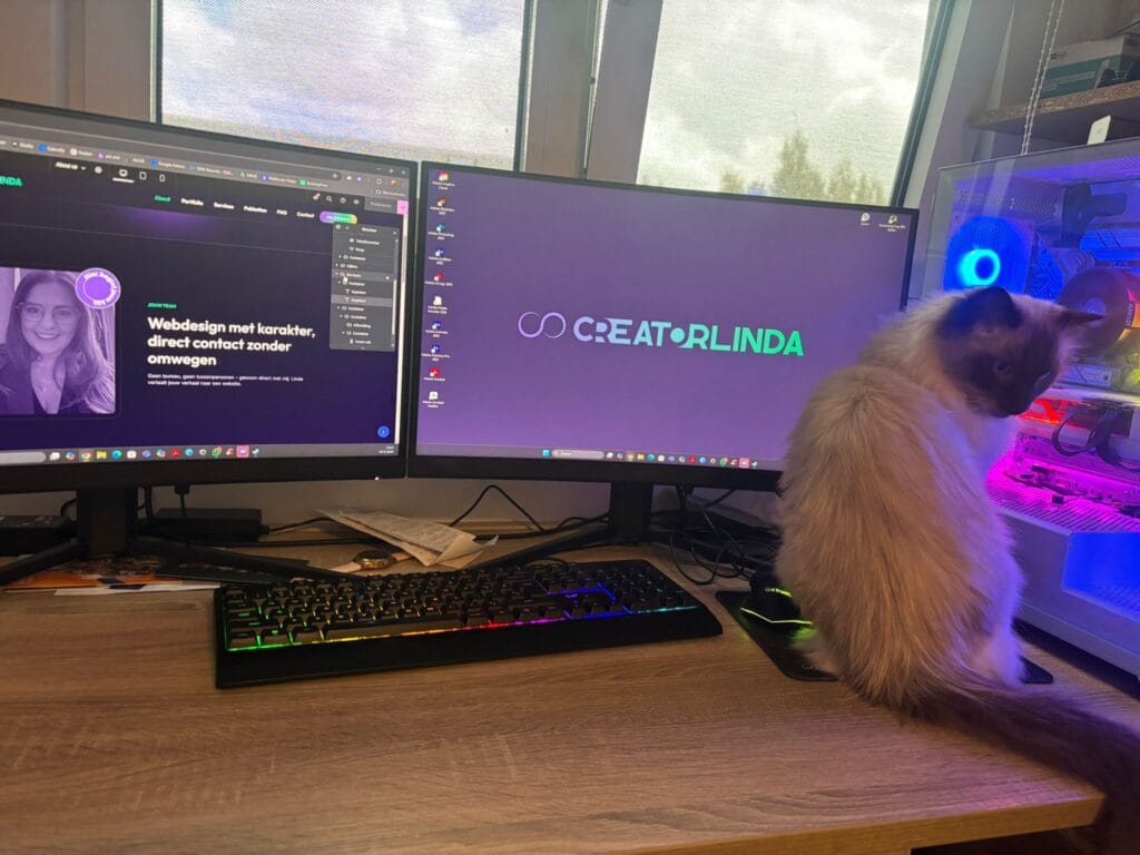 Set up van de pc van linda mols, creatorlinda van website in 1 dag